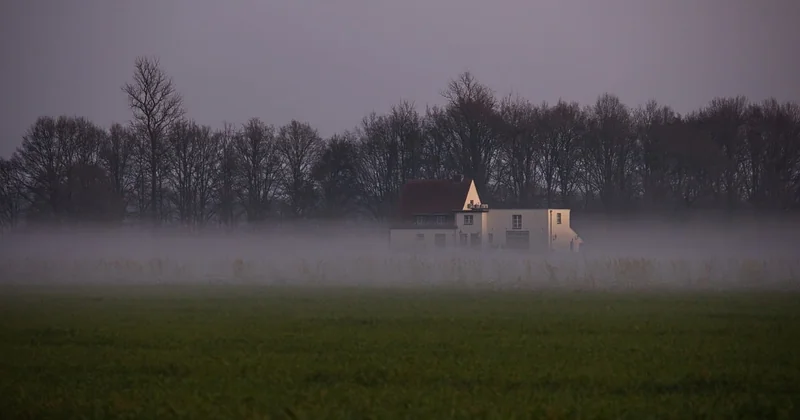 Le calme et la nature : les vrais avantages de la vie rurale