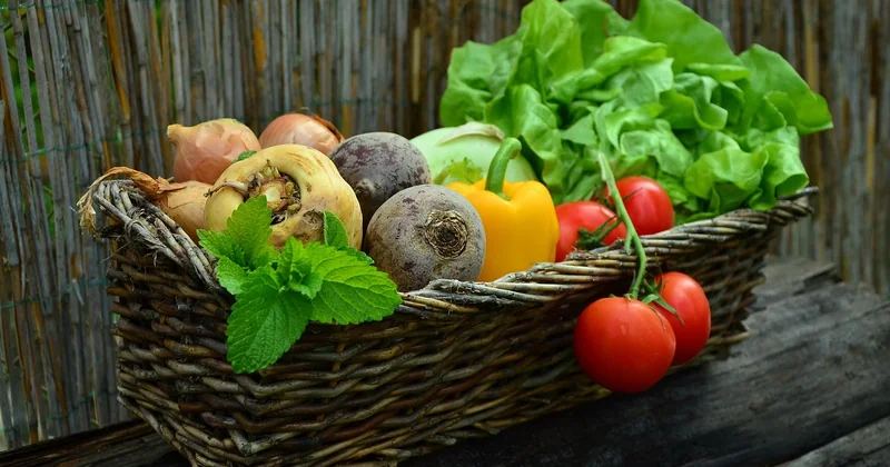 Les produits à éviter sur le châtaignier (et ceux qui marchent)